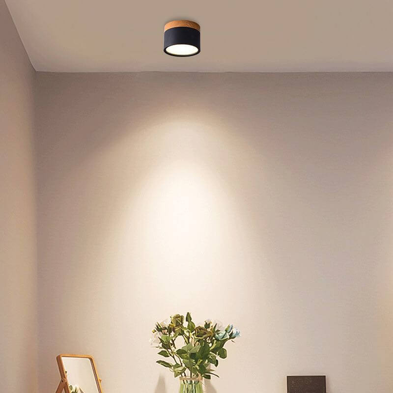 Modern Flush Mounted LED Down Light