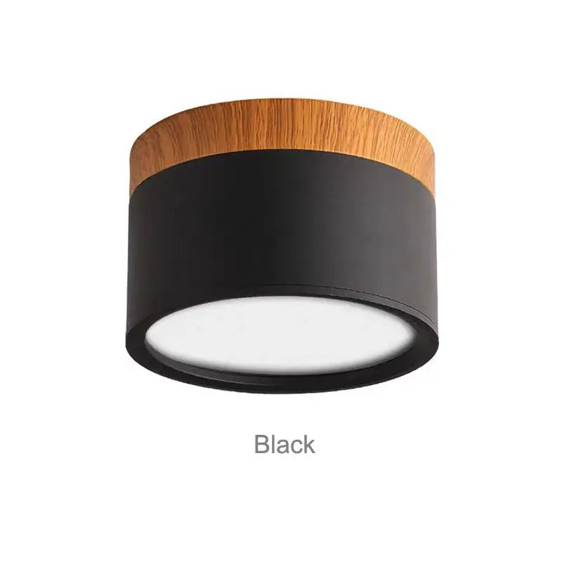 Modern Flush Mounted LED Down Light