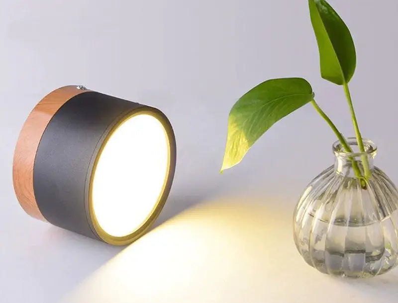 Modern Flush Mounted LED Down Light