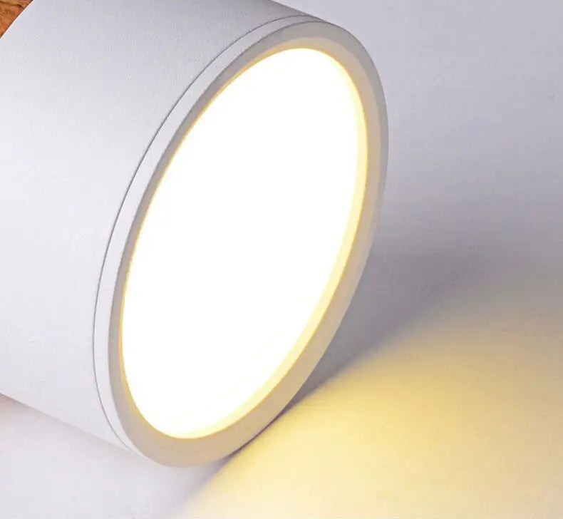 Modern Flush Mounted LED Down Light