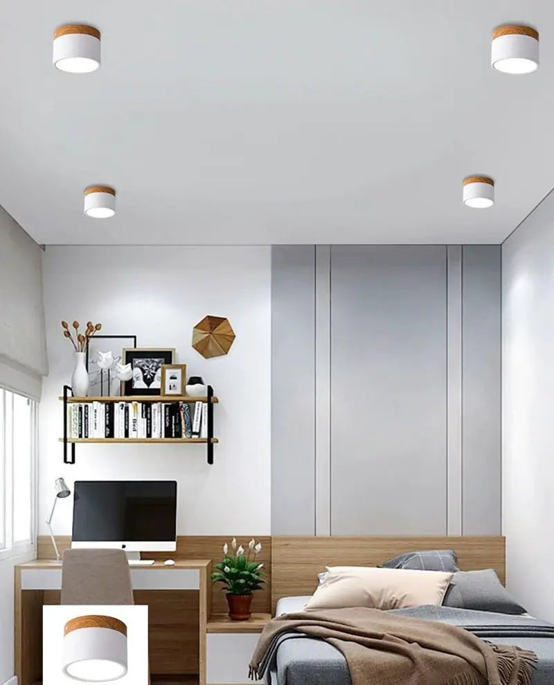 Modern Flush Mounted LED Down Light