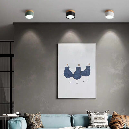 Modern Flush Mounted LED Down Light