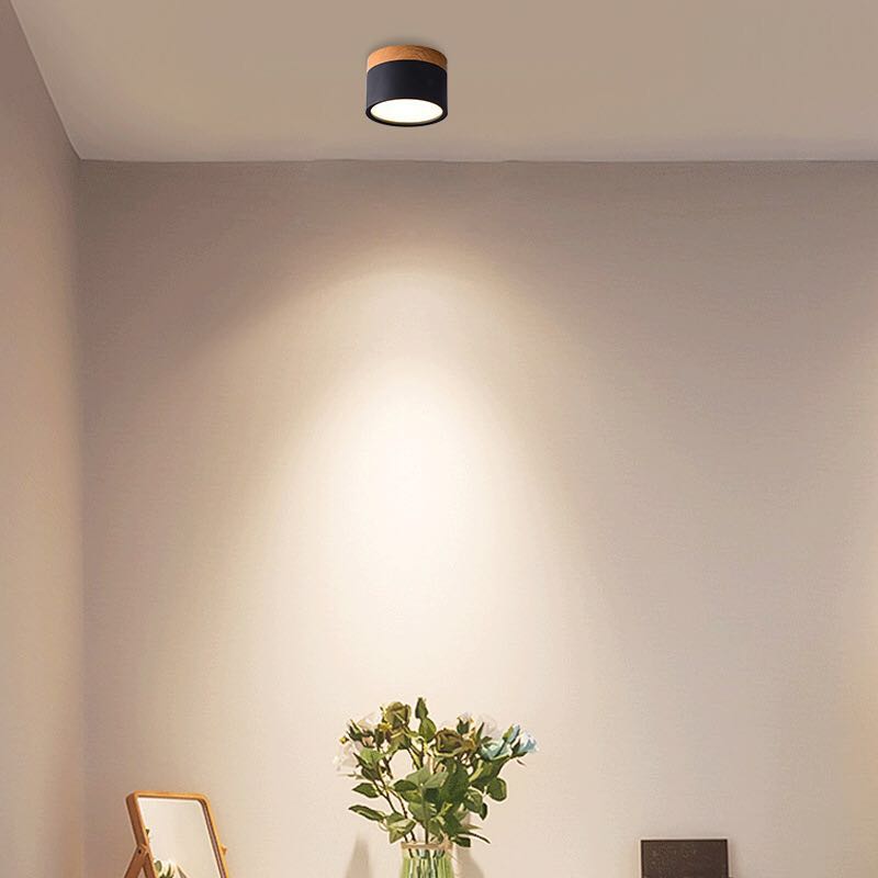 Modern Flush Mounted LED Down Light