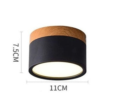 Modern Flush Mounted LED Down Light