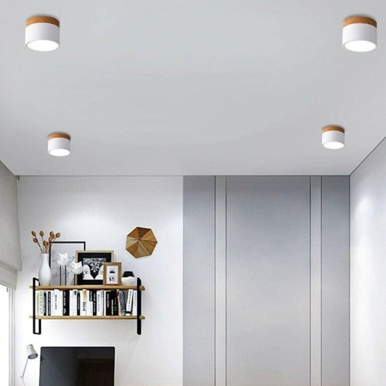 Modern Flush Mounted LED Down Light