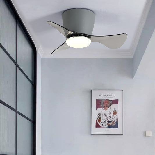 Modern Lux 22 Comfort Ceiling Fan with Light